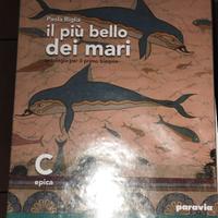 Libro  italiano  ISBN 9788839526298