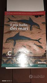 Libro  italiano  ISBN 9788839526298