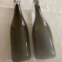 Bottiglie da vino tappo corona