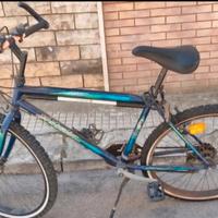 Bicicletta Mountain Bike 