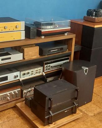 electrovoice sentrythree