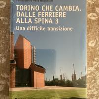 Torino che cambia. Dalle ferrierie alla spina 3