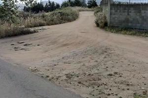 Terreno agricolo Nuoro Loc. Murichessa