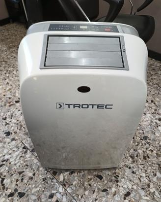 Climatizzatore Freddo e Caldo portatile 