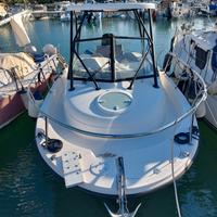 Trophy 2302 wa mercury verado 300 cv tutto 2011
