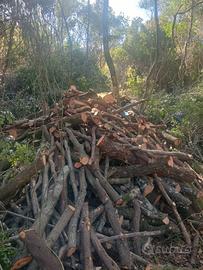 LEGNA DA ARDERE