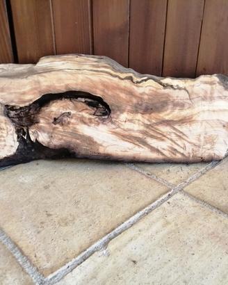 fetta di legno d'ulivo 