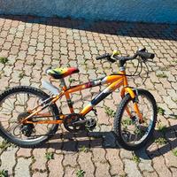Bicicletta da bambino 