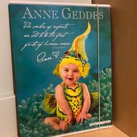 Cartella Anne Geddes