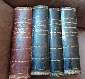 Lotto romanzi americani dell'Ottocento