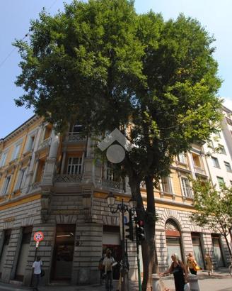 2 LOCALI A TRIESTE