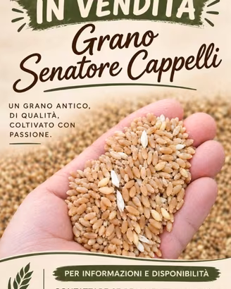 Grano Senatore Cappelli 