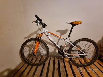 bicicletta taglia L