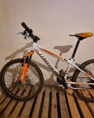 bicicletta taglia L