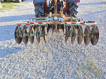 Dischiera francizolle Schiavina