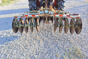 Dischiera francizolle Schiavina