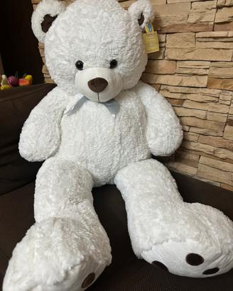 Orso gigante nuovo