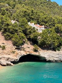 Multiproprietà I Delfini Pugnochiuso Vieste