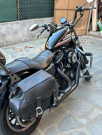 Borse laterali harley davidson