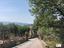 Immagine 10