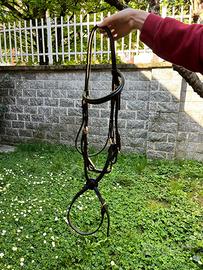 Testiera Messicana