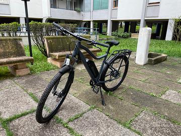 Bicicletta elettrica