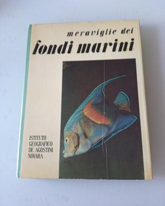 Meraviglie dei fondi marini - De Agostini biologia