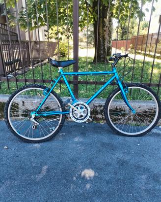 bici blu 
