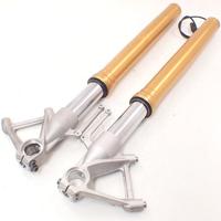 BMW S 1000 R K47 14-15 Sospensione anteriore force