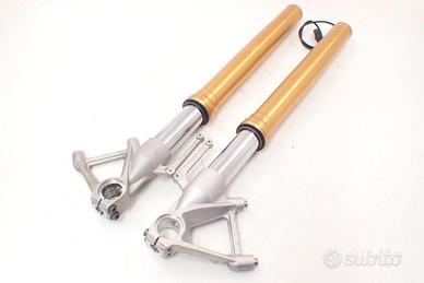BMW S 1000 R K47 14-15 Sospensione anteriore force