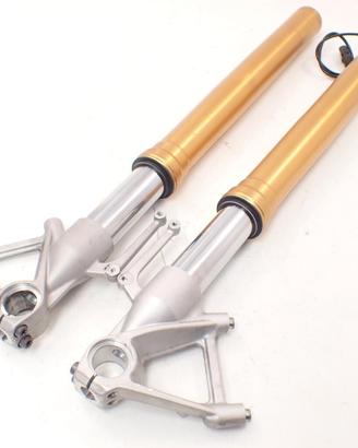 BMW S 1000 R K47 14-15 Sospensione anteriore force
