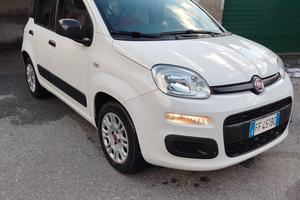 Fiat Panda 1.2 - 2016