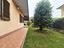Immagine 19