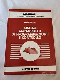 Sistemi manageriali di programmazione controllo
