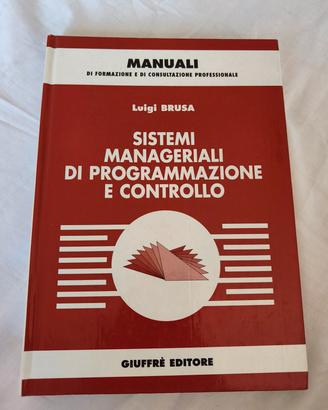 Sistemi manageriali di programmazione controllo
