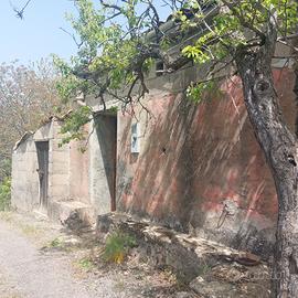 Terreno con fabbricato rurale