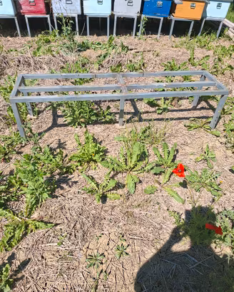 Cavalletti in ferro zincato 4 posti  per arnie  