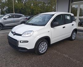 FIAT PANDA 1.0 70cv Hybrid MY24