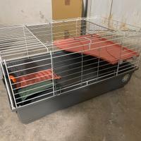 Gabbia gabbietta coniglio criceto cavia