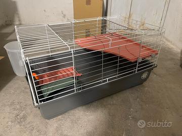 Gabbia gabbietta coniglio criceto cavia