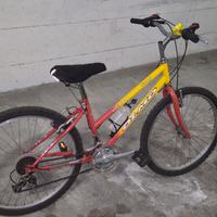 bicicletta olmo 16