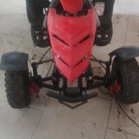 quad minimoto