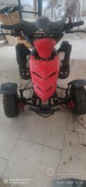 quad minimoto