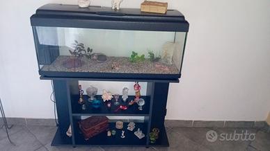 aqario 