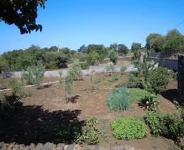 TERRENO COLTIVATO E RECINTATO adiacente strada