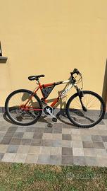 Bici da uomo mountain bike