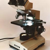 microscopio Olympus ch