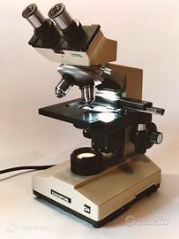 microscopio Olympus ch