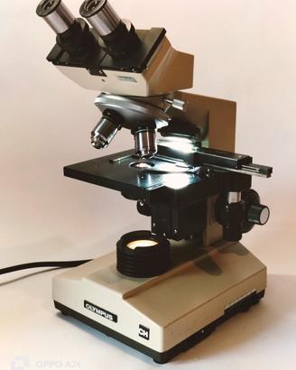microscopio Olympus ch