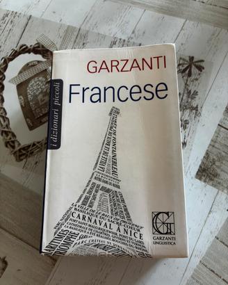 Dizionario Francese